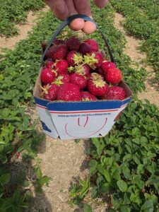 applewoodfarm7