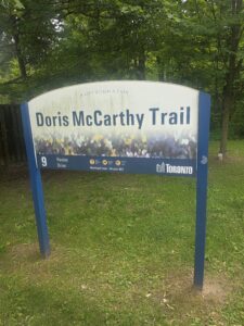 trail4